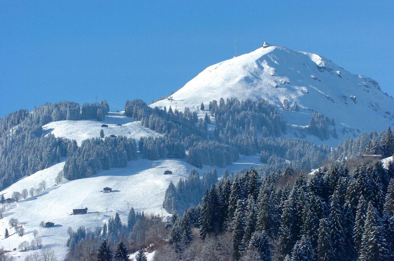 Bergpension Zinting Brixen im Thale Dış mekan fotoğraf